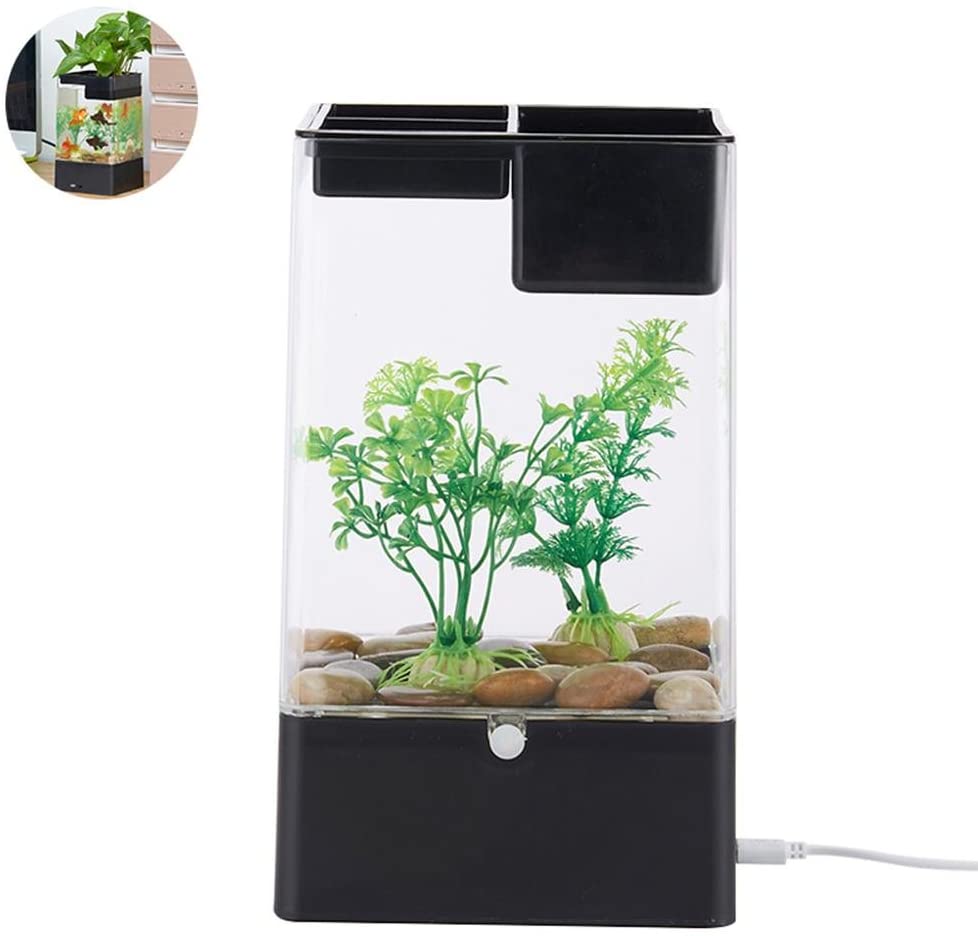 Best Betta Fish Tank 2020 (Top Kits With Filters, Plants, Bowls & More!) Betta Fish Home Guide