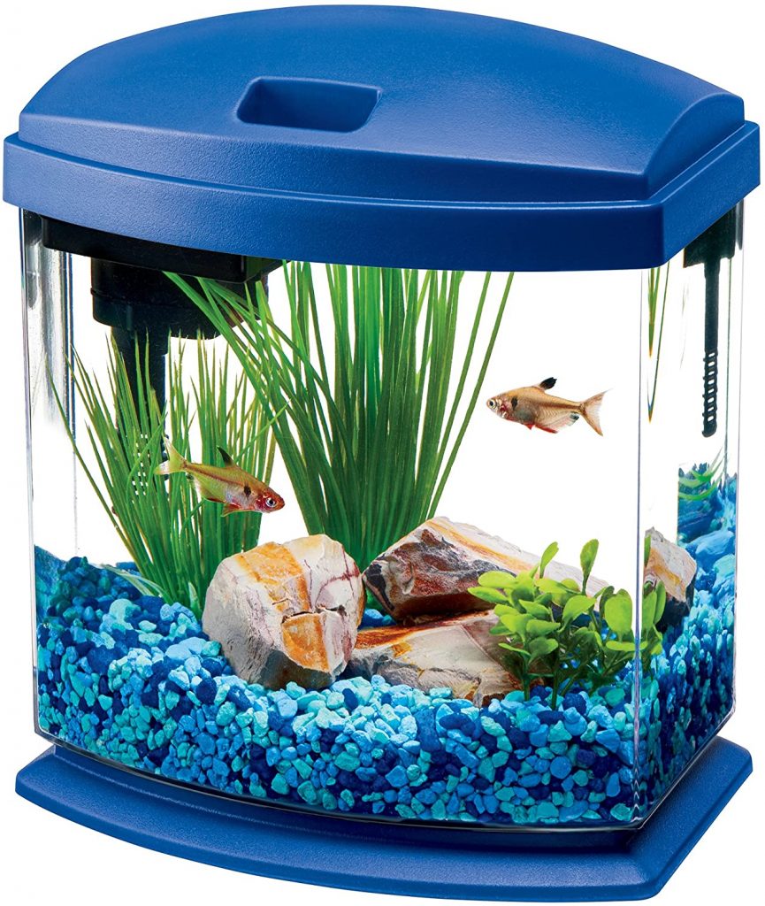 Best Betta Fish Tank 2020 (Top Kits With Filters, Plants, Bowls & More